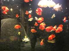 -弘安丽水温泉酒店
