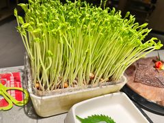 现剪现吃豌豆苗-海底捞火锅(万象城店)