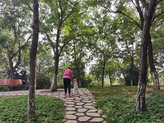 -绿岛公园(滨海新区)