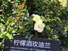 -聚龙山公园