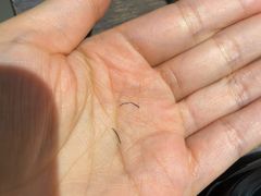 -东来顺铜锅炭火涮肉(上地华联店)