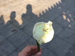 -云石寺