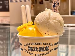 -海比甜店·意式手工冰激淋happy habit gelato