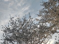 -钱塘江