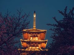 -东湖磨山景区