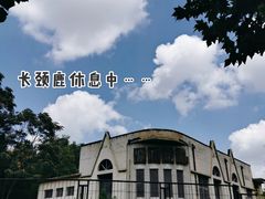 -保定市动物园