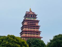 -华西村