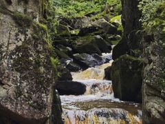 -茅兰沟国家森林公园