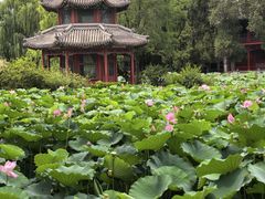 -莲池书院博物馆
