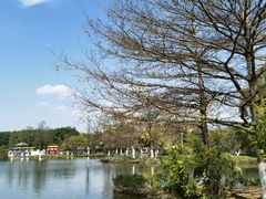 -海珠湖公园