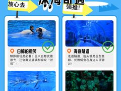 -石家庄极地海洋世界
