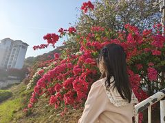 -小南山公园