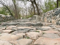-阳台山自然风景区