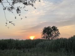 -绿堤公园