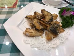 -寻味顺德·南记酒家·传统顺德菜·鱼生(广源路店)