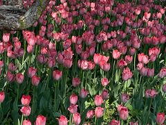 -长春公园(普阳街道)