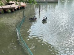 -五缘湾湿地公园