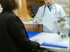 -纳吉亚猫专科动物医院博雅分院