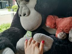 -ZOO COFFEE 动物园咖啡(亦庄店)