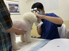 -美联众合动物医院·24h转诊中心