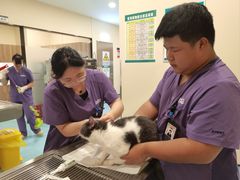 -萌兽医馆·犬猫专科·眼科中心·宠物医院(朝阳门分院)