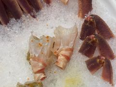 -东海怡品海鲜豆捞(星街坊店)