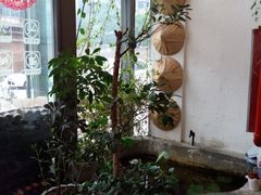景观位-城池·洛阳菜