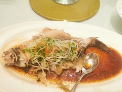 萝卜丝煮桂鱼-老洋房花园饭店(绍兴路店)