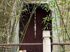 -戏马台景区