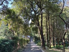 -广州市白云山风景名胜区