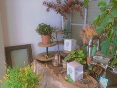 -塔拉苏咖啡(中信丹阳花园店)