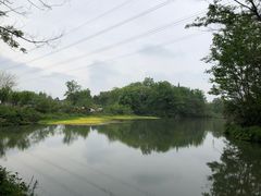 -桤木河湿地公园