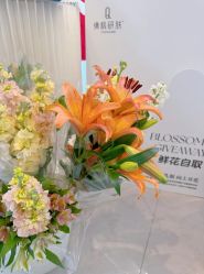 -倩极·精研痘敏肌管理