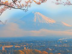 -富士山吉田線五合目