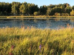 -塞罕坝国家级自然保护区