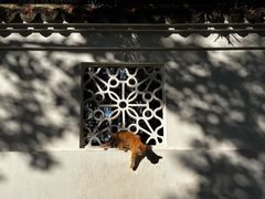 -西园寺素食(西园弄戒幢律寺店)