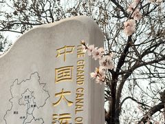 -桃花堤公园