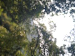 -火炉山森林公园