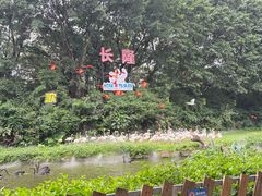 -广州长隆国际大马戏