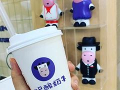 -一只酸奶牛(八一路店)