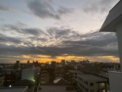 -THE LOG SALON 记录