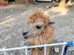 -武汉紫薇都市田园