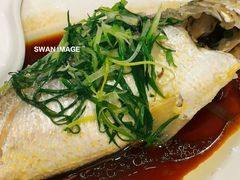 -老字号蛇口德记烧腊饭店·海鲜加工