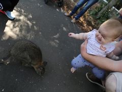 -费瑟代尔野生动物园