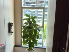 -通透堂中医·精准推拿(旗舰店)