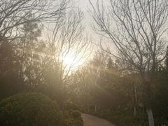 -佛慧山