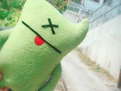 -南丫岛