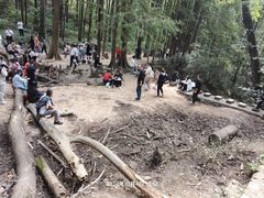 -波尔登森林公园