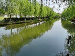 -周浦花海-停车场