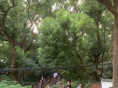 -马王堆汉墓遗址